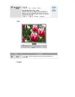 Preview for 29 page of Samsung SyncMaster 204Ts (Spanish) Manual Del Usuario