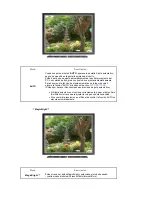 Preview for 31 page of Samsung SyncMaster 701N Manual Del Usuario