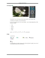 Preview for 52 page of Samsung SyncMaster T200M User Manual