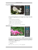 Preview for 58 page of Samsung SyncMaster T200M User Manual