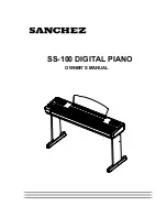 Sanchez SS-100 Owner'S Manual preview