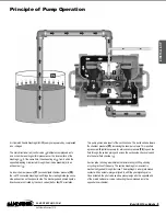 Предварительный просмотр 7 страницы Sandpiper HD20F Service & Operation Manual