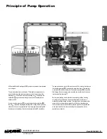 Preview for 7 page of Sandpiper Signature Series Service & Operating Manual