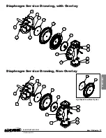 Preview for 17 page of Sandpiper T20 Service & Operating Manual