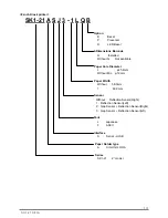 Preview for 10 page of SANEI ELECTRIC SK1-21A Technical Manual