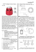 SANJIANG A9091T Manual предпросмотр