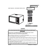 Sanyo 43743240 Service Manual preview