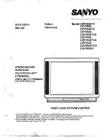 Sanyo CAP2930N Instruction Manual preview