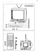 Предварительный просмотр 2 страницы Sanyo CZP 6011V Instruction Manual