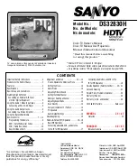 Sanyo DS32830H Owner'S Manual preview