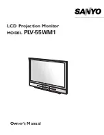 Sanyo PLV-55WM1 Owner'S Manual предпросмотр