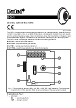 Satec DG-1 Series Manual preview