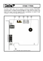 Preview for 1 page of Satel STAM-1 TRNK Quick Start Manual