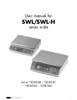 Satrue SWL series User Manual предпросмотр