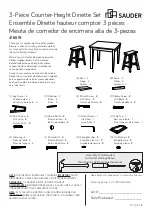 Sauder 416519 Manual предпросмотр