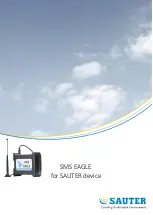 sauter SMS EAGLE Manual preview