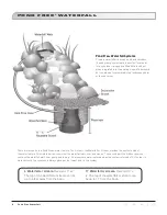 Preview for 4 page of Savio Pond Free PF0500 Design Manual