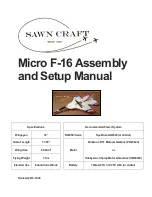 Preview for 1 page of Sawn Craft Micro F-16 Assembly And Setup Manual