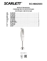 Preview for 1 page of Scarlett SC-HB42S03 Instruction Manual