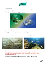 Предварительный просмотр 11 страницы SCATRI Simfish Manual