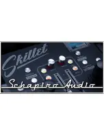 Предварительный просмотр 1 страницы Schapiro Audio Skillet User Manual