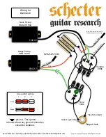 Schecter Damien 6 FR Supplementary Manual preview