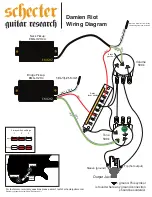Schecter Damien Riot Wiring Diagram preview