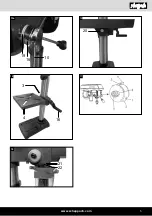 Предварительный просмотр 5 страницы Scheppach DP19Vario Translation Of Original Instruction Manual