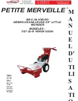 Schiller PETITE MERVEILLE BRC-26 HYDRO Operator'S & Parts Manual preview