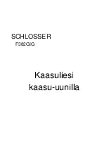 Schlosser F382G1G Manual preview