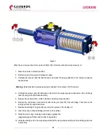 Preview for 20 page of Schlumberger CAMERON LEDEEN VA Series Installation, Operation And Maintenance Manual