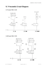 Preview for 37 page of Schmalz SBX-C 200 Operating Instructions Manual