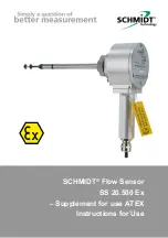 Schmidt SS 20.500 Ex Instructions For Use Manual preview