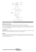 Предварительный просмотр 33 страницы Schulz MTS 200M Profissional Instruction Manual