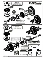 Предварительный просмотр 14 страницы Schumacher CAT XLS Masami Instruction Manual