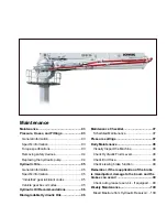 Preview for 183 page of Schwing SPB 28 Operation Manual