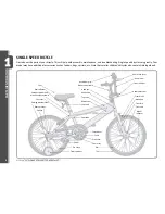 Предварительный просмотр 6 страницы Schwinn 12in Tiger Owner'S Manual