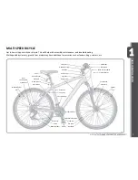 Предварительный просмотр 7 страницы Schwinn 12in Tiger Owner'S Manual