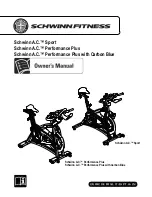 Schwinn Fastback Sport 16 Owner'S Manual preview