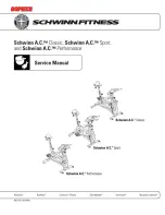 Schwinn Fastback Sport 16 Service Manual preview
