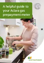 ScottishPower Aclara SMETS2 Manual предпросмотр