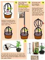 Предварительный просмотр 4 страницы Scroll Trellis Stack Trellis 2 Tier Plant Support Assembly Instructions