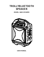 SDigital BASS CRUZER User Manual preview