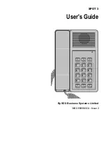 SDX Audio SPOT 3 User Manual предпросмотр