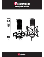 SE Electronics SE1A Manual preview