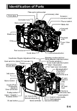 Preview for 7 page of Sea & Sea MDX-5D Mark IV Instruction Manual