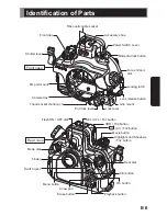 Предварительный просмотр 7 страницы Sea & Sea MDX-EM5 Mark II Instruction Manual