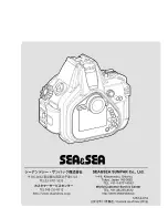 Предварительный просмотр 24 страницы Sea&Sea RDX-650D Instruction Manual