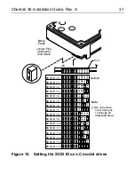 Preview for 33 page of Seagate Cheetah 36 Installation Manual