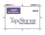 Preview for 1 page of Seagate TapeStor 8GB Online Installation Manual